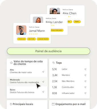Interface de usuário simplificada do Mailchimp mostrando o painel de controle de público e as ferramentas de segmentação. As empresas podem extrair insights importantes sobre clientes específicos. Por exemplo, se são clientes locais ou que interagem muito com e-mails, além de estatísticas sobre todo o público, incluindo valor vitalício do cliente fácil de entender, etiquetas, localização e níveis de envolvimento.