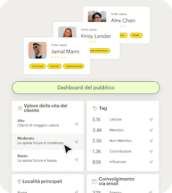 Interfaccia utente semplificata di Mailchimp che mostra la dashboard del pubblico e gli strumenti di segmentazione. Le aziende possono ottenere dati approfonditi chiave per i singoli clienti, come ad esempio se si tratta di clienti locali o molto coinvolti con le email, oltre a statistiche per tutto il pubblico tra cui il customer lifetime value, i tag, la posizione e i livelli di interazione facili da comprendere.