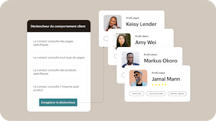 Tableau de bord affichant les profils des clients et les outils de segmentation d’audience de Mailchimp pour les campagnes de marketing.
